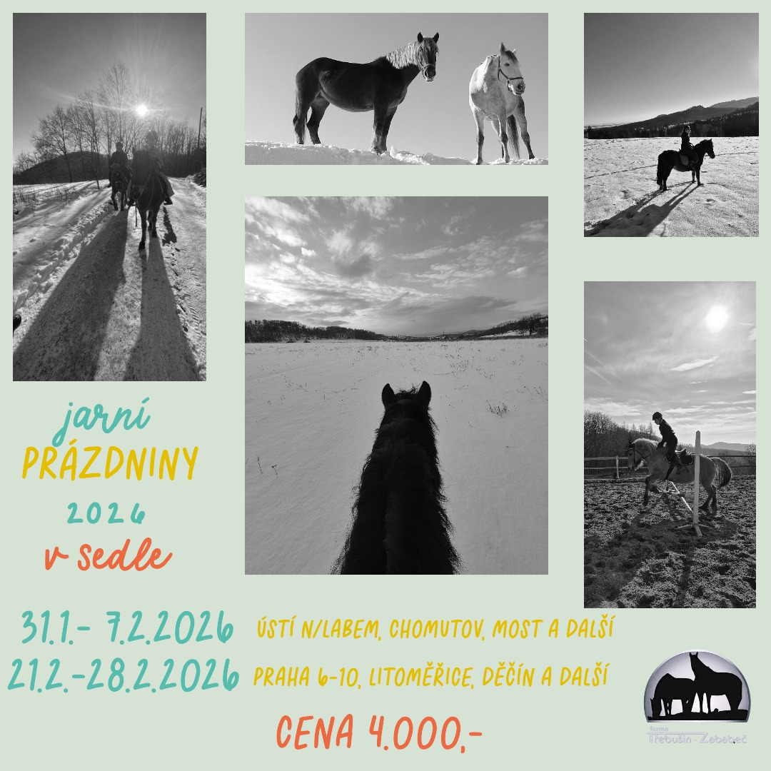 591735646_3318057598346218_5740184484350139156_n 591735646_3318057598346218_5740184484350139156_n