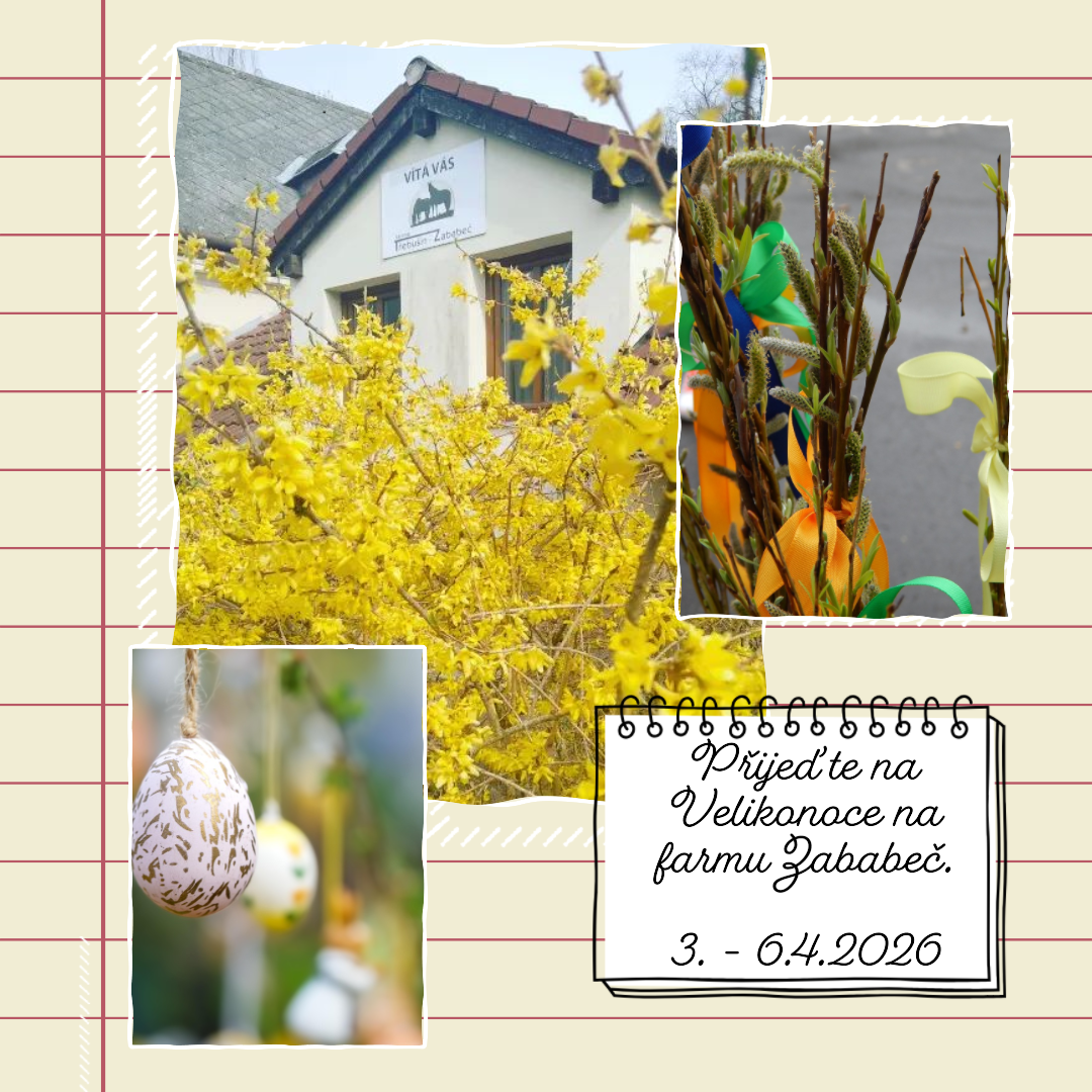 Designer-3 Designer-3